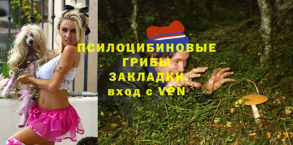 Альфа ПВП Абдулино